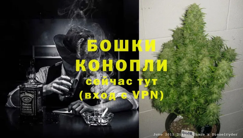 Канабис Ganja  Дмитриев 